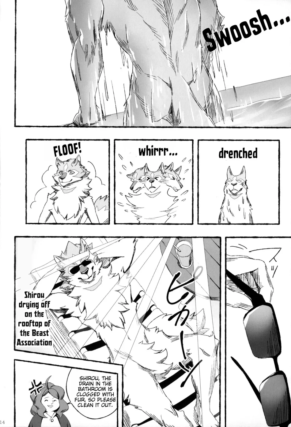 [Sora no Gomibako (SKY)] Ginrou – BNA: Brand New Animal dj [Eng] — 013