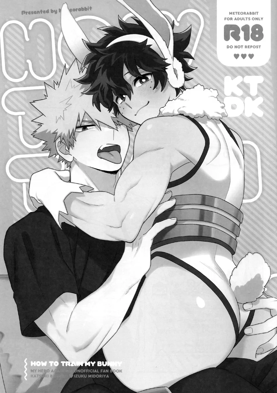 [Meteorabbit (Shion)] HOW TO TRAIN MY BUNNY – Boku no Hero Academia dj [JP] — 002
