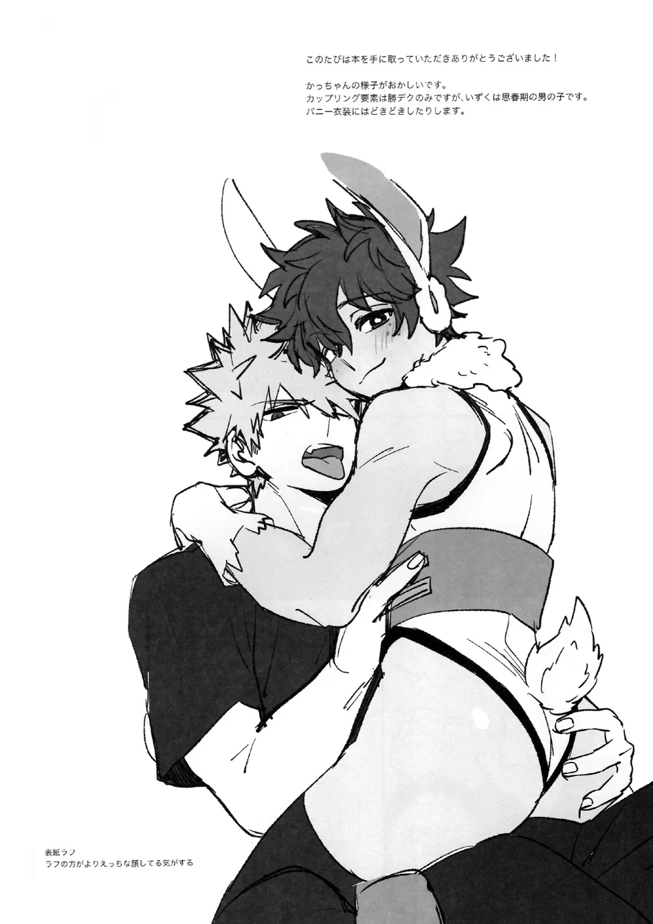 [Meteorabbit (Shion)] HOW TO TRAIN MY BUNNY – Boku no Hero Academia dj [JP] — 009