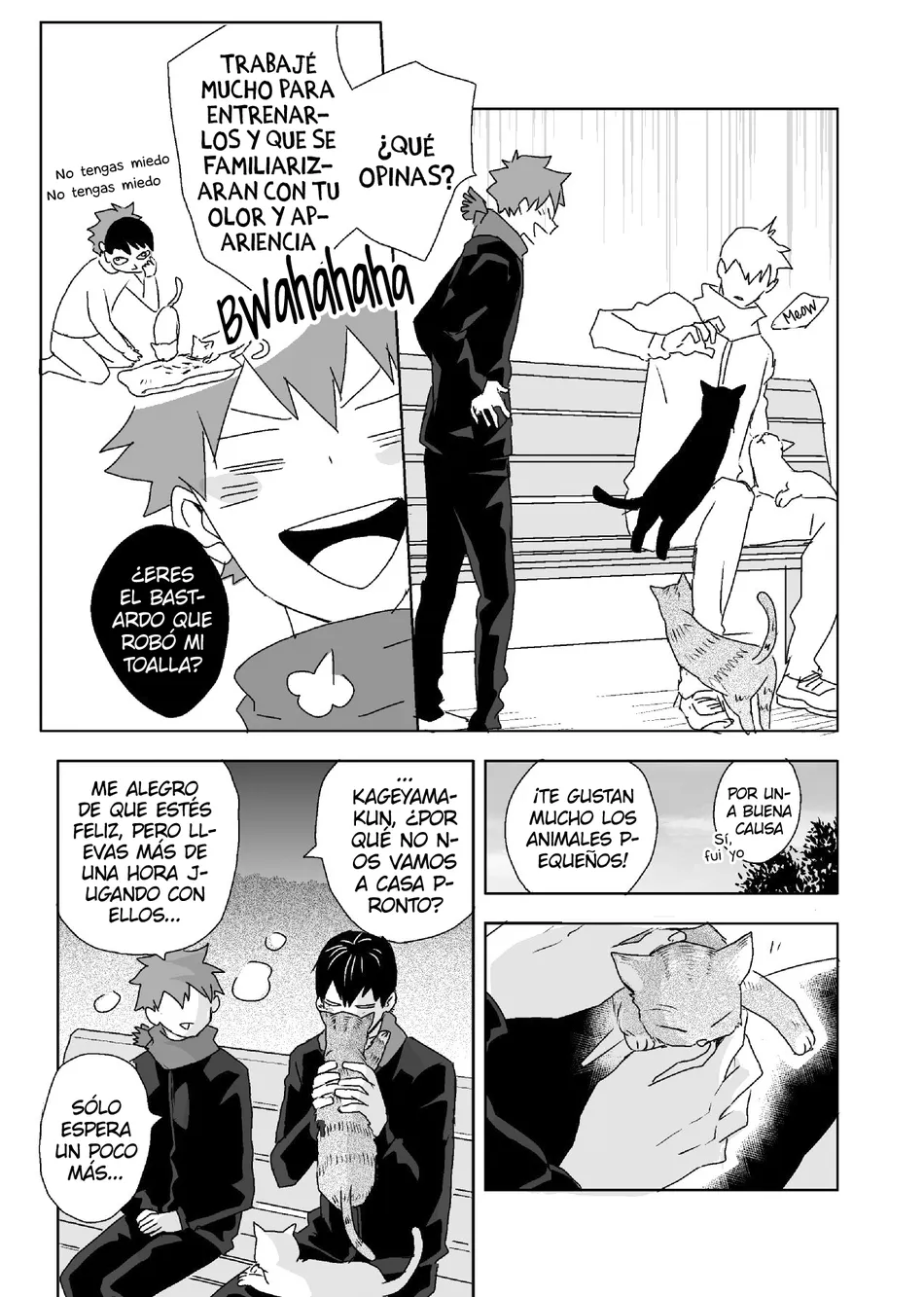 [Bubunhanten] Tabun Hina→Kage – Haikyuu!! dj [Spa] — 004