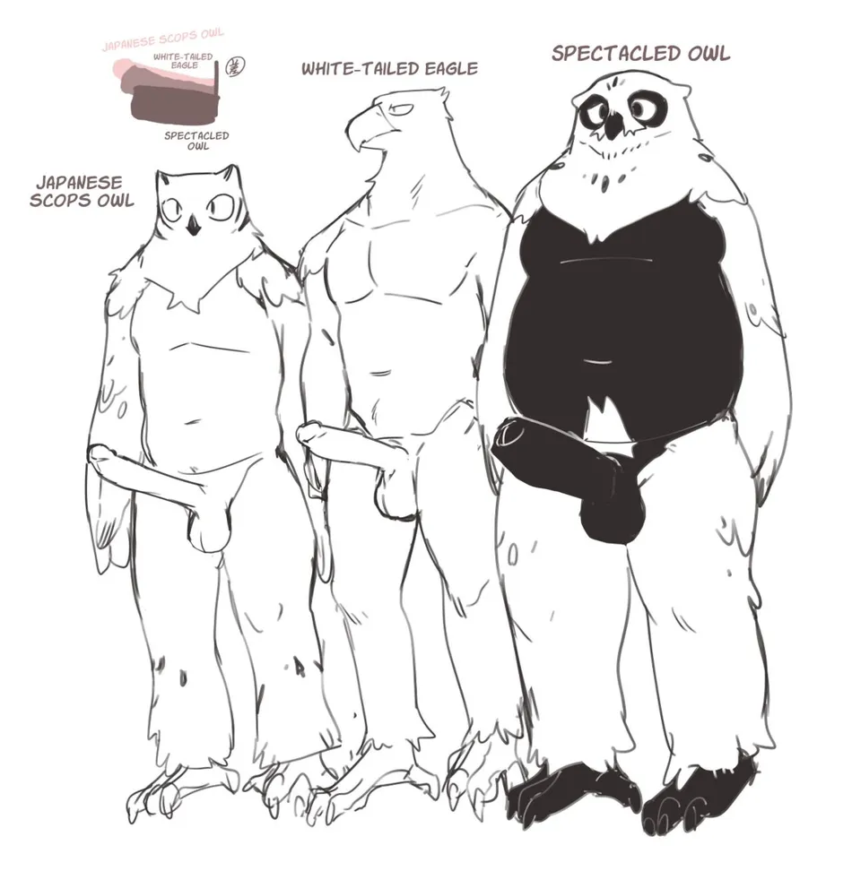 [Rubber Cup Boys (INAX)] White-Tailed Eagle and Owls [Eng] — 016
