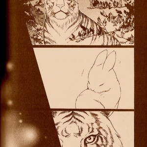 [HONMA Akira] Usagi Otoko Tora Otoko ~ vol.03 [Eng] – Gay Comics image 003.jpg