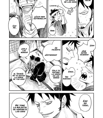 [HONEY LEMON (Hachimitsu)] Shinobure do iro ni de de nikeri – One Piece dj [español] — 10