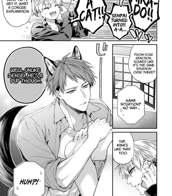 [6109 (Kirishiki Tokico)] Shitoame Kitty & Pup ~All Subs Suddenly Grew Animal Ears in a Parallel Universe~ [Eng] — 7