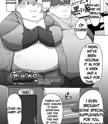 [Kuroneko Coffee] Our Secret Play [Eng]