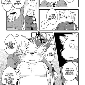 [Goroujirou (Kinoshita Jiroh)] Mekko Rarekko [kr] – Gay Comics image 243.jpg