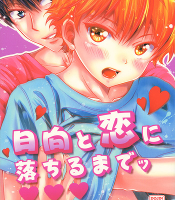 [puniiyu] Hinata to Koi ni Ochiru Made – Haikyuu!! dj [JP]