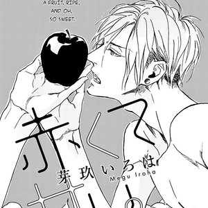 [MEGU Iroha] Akakute Amai [Eng] – Gay Comics image 027.jpg