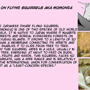 [HIRAKITA Yuya] Itoshi no Momonga Kareshi [Eng] – Gay Comics image 036.jpg