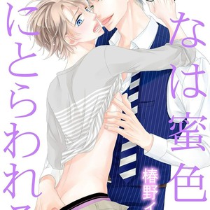 [TSUBAKINO Imeri] Hina wa Mitsuiro no Koi ni Torawareru [Eng] – Gay Comics image 006.jpg