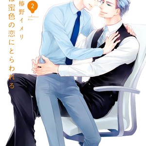 [TSUBAKINO Imeri] Hina wa Mitsuiro no Koi ni Torawareru [Eng] – Gay Comics image 300.jpg