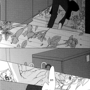 [SATO Tsubame] Evergreen Days [kr] – Gay Comics image 155.jpg