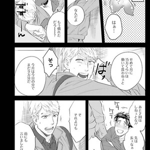[Niyama] Goriyou wa keikakutekini [JP] – Gay Comics image 039.jpg