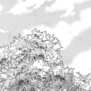 [WENDY (KATSURA Komachi)] Haikyu!! dj – Swallowtail Butterfly [Eng] — 003