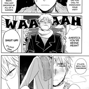 [nyumen/ Tada] Hetalia dj – I Love My Yandere Brother to Death [Eng] – Gay Comics image 006.jpg