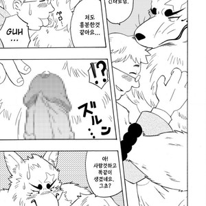 [Bear Tail (Chobi)] Shinshi 1 – Gingitsune dj [kr] – Gay Comics image 009.jpg