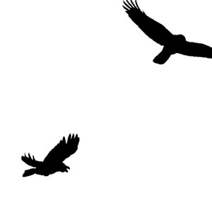 [Yoneda Kou] Crows ZERO dj – Borderless 1 [kr] – Gay Comics image 024.jpg
