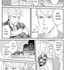 [Niyama] Goriyou wa keikakutekini (update c.4) [kr] – Gay Comics image 113.jpg