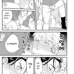 [Niyama] Goriyou wa keikakutekini (update c.4) [kr] – Gay Comics image 139.jpg