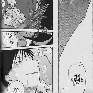 [Mijinko Paradise (AZUMA Jyuuji)] Fullmetal Alchemist dj – Shounen hanzai report [kr] — 014