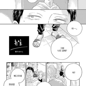 [Amamiya] Koi da Ai da wa Sateoite [kr] – Gay Comics image 132.jpg