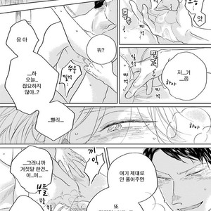 [Amamiya] Koi da Ai da wa Sateoite [kr] – Gay Comics image 140.jpg