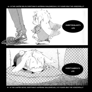 [Agp (KURIHARA Aoi)] Hetalia dj – Usabon [Eng] – Gay Comics image 013.jpg