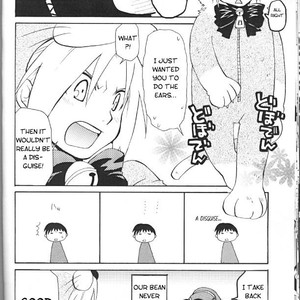 [Daen & Ronno & Kalus] Futaribocchi Densetsu – Fullmetal Alchemist dj [Eng] – Gay Comics image 021.jpg