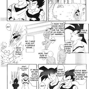 [Kotoh-R] Satisfactions – Dragon Ball dj [Eng] – Gay Comics image 006.jpg