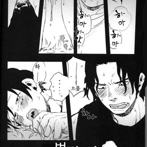 [S+y (Yumiya)] Himitsu – One Piece dj [kr] – Gay Comics image 027.jpg