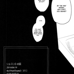 [youko] Schrodinger no Neko – Boku no Hero Academia dj [Eng] – Gay Comics image 036.jpg