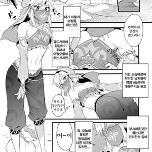[Morittokoke (Morikoke)] Yuusha ga Onnanoko ni Sarechau hon – The Legend of Zelda dj [kr] – Gay Comics image 004.jpg