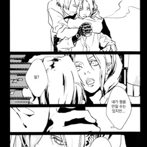 [Idea (SEINA Rin)] Fullmetal Alchemist dj – Precious Wonder #1 [kr] – Gay Comics image 032.jpg
