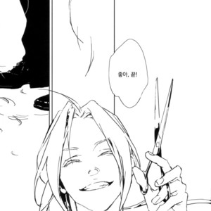 [Idea (SEINA Rin)] Fullmetal Alchemist dj – Precious Wonder #1 [kr] – Gay Comics image 038.jpg