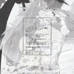 [Sweet Taste (Amakuchi)] Shining F – Shining Wind dj [kr] – Gay Comics image 025.jpg