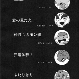 [Gun Modoki (Various)] MHM no H – Monster Hunter dj [JP] – Gay Comics image 003.jpg