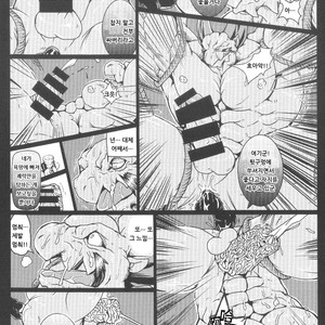 [Aotokage (toka)] Breath of Fire III dj [kr] – Gay Comics image 008.jpg