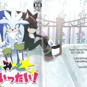 [CofG, Kakudaikyo (Asahi, Haluki)] Sanmi Ittai! – Sonic the Hedgehog dj [JP] – Gay Comics image 001.jpg