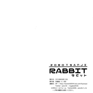 [Kyozoya (Kunoichi)] RABBIT – One Piece dj [JP] – Gay Comics image 037.jpg