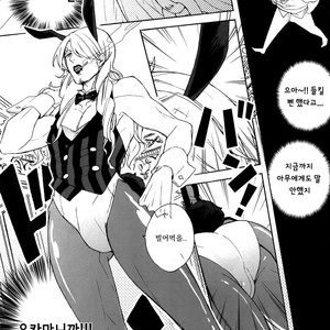 [Kyozoya (Kunoichi)] The Ruin of the Bunny Boy – One Piece dj [kr] – Gay Comics image 004.jpg