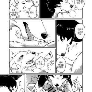 [D-Point! (Diga Tsukune)] More, more. [kr] – Gay Comics image 016.jpg