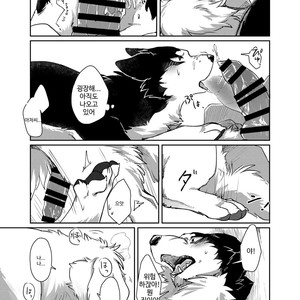 [D-Point! (Diga Tsukune)] More, more. [kr] – Gay Comics image 019.jpg