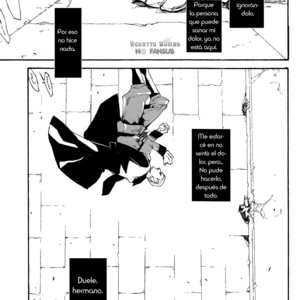[Metalize, Chiyomatsu, Futon] Hetalia dj – Seimeisen [spanish] – Gay Comics image 029.jpg