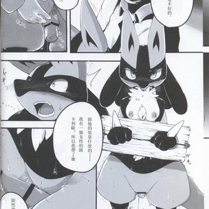 [Odoshiro Canvas (Various)] TRAiNER! – Pokémon dj [cn] – Gay Comics image 007.jpg