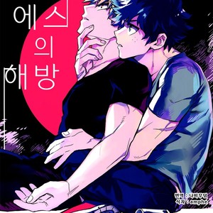 [Kometsubu] Esu no Kaihou – Boku no Hero Academia dj [kr] – Gay Comics image 001.jpg