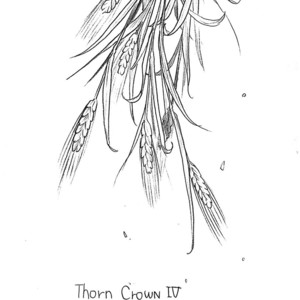 [Inariya Fusanosuke] Maiden Rose dj – Thorn Crown 4 [Eng] – Gay Comics image 016.jpg