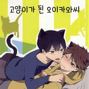 [Shounen-H (Yuuki)] Neko ni Natta Oikawa-san – Haikyuu!! dj [kr] – Gay Comics