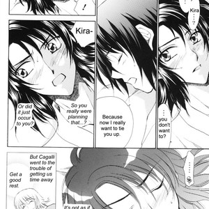 [Yougekishu (Arina Toshimi)] sweet honey moon – Gundam SEED DESTINY dj [Eng] – Gay Comics image 011.jpg