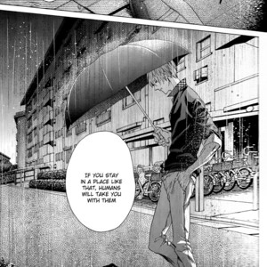 [Pokela Ichigo/ Fujino] Kuroko no Basket dj – Vampire to Kuro Neko (Part One) [Eng] – Gay Comics image 008.jpg