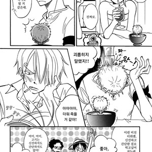 [AJIMI-SCO] Natsu no Choro – One Piece dj [kr] – Gay Comics image 009.jpg